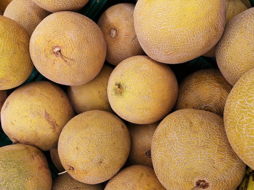 Melons jaunes